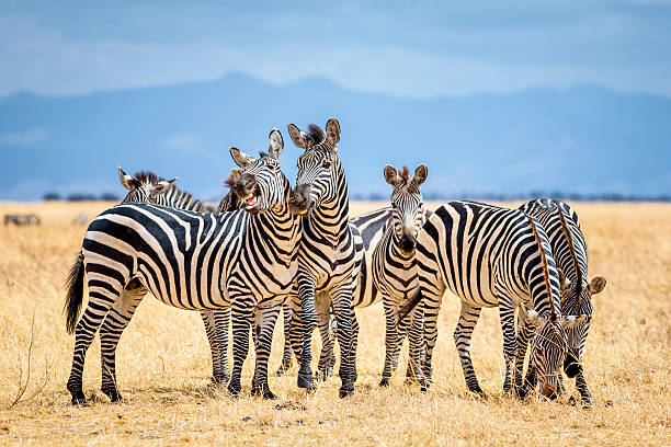 Tarangire National Park